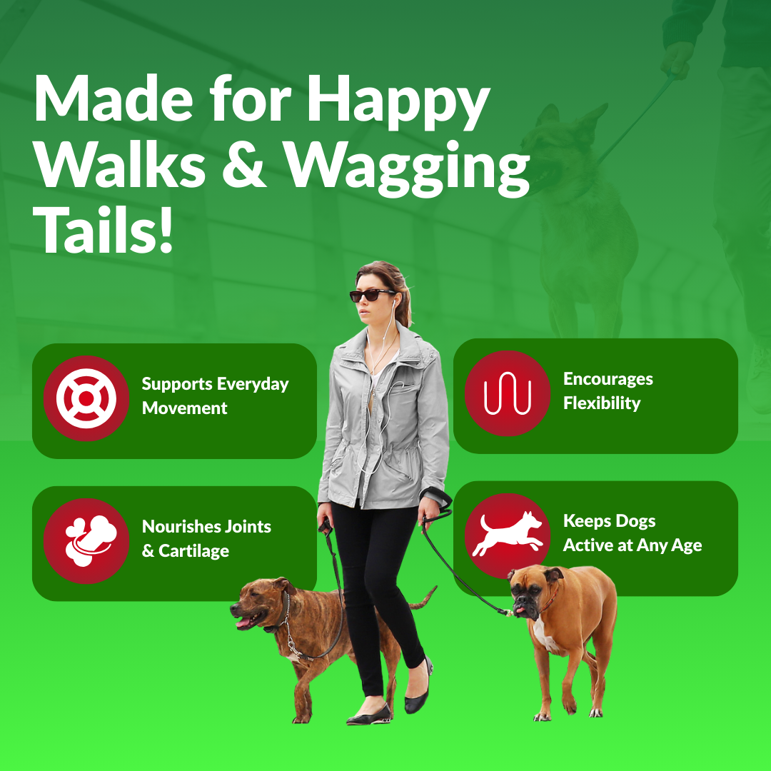 Woman walking two dogs with product benefits on a green background