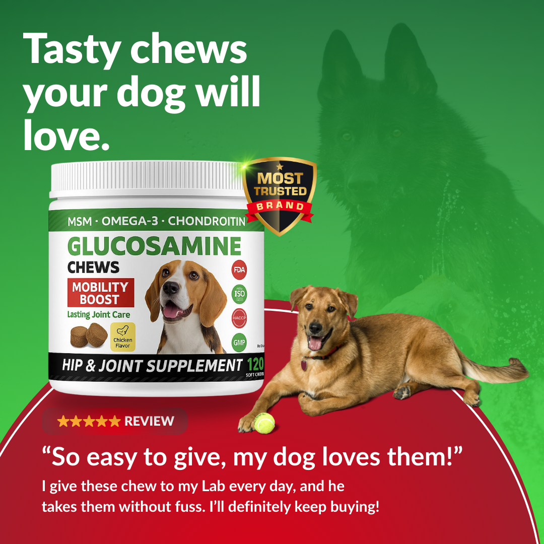 Glucosamine chews for dogs with a dog and text on a green background