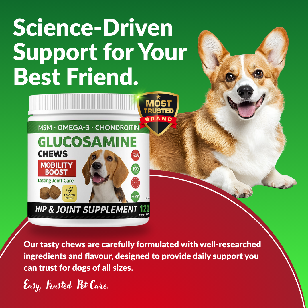 Dog supplement product with a dog and text on a green background