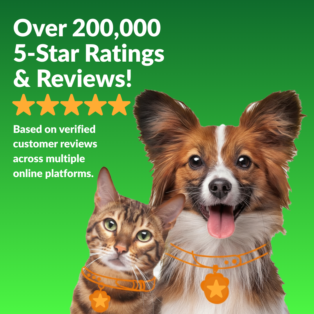 Dog and cat with orange collars and tags on a green background with text about 5-star ratings.