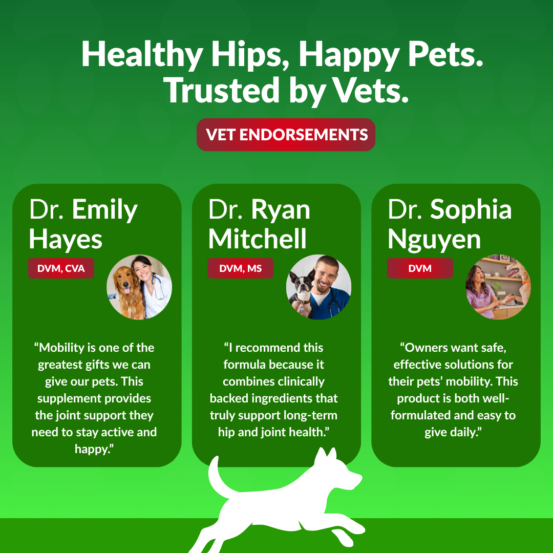 Hip & Joint Vital Chews™ - 120 Soft Chews
