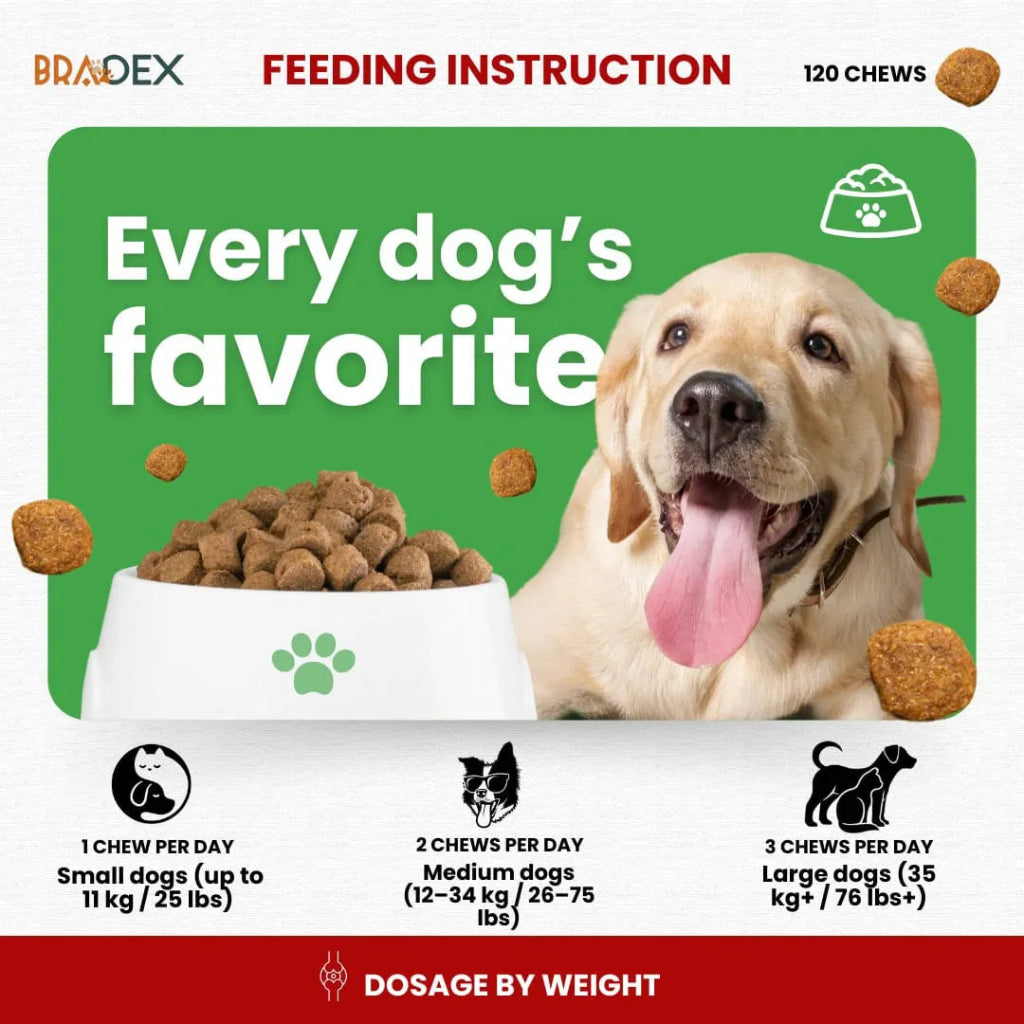Dog food packaging with a dog and feeding instructions on a green background