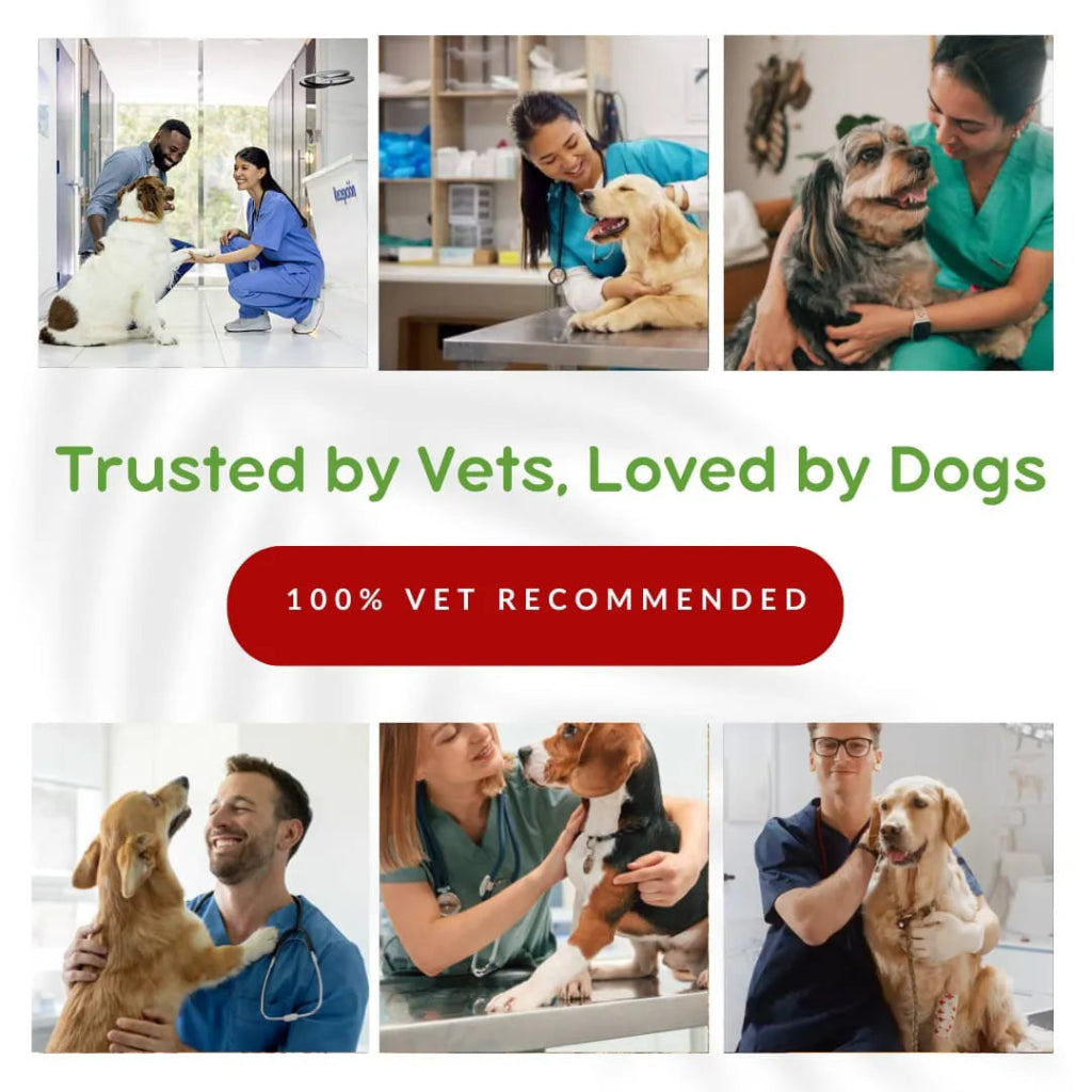 Collage of people with dogs and text 'Trusted by Vets, Loved by Dogs' with a vet recommended badge.