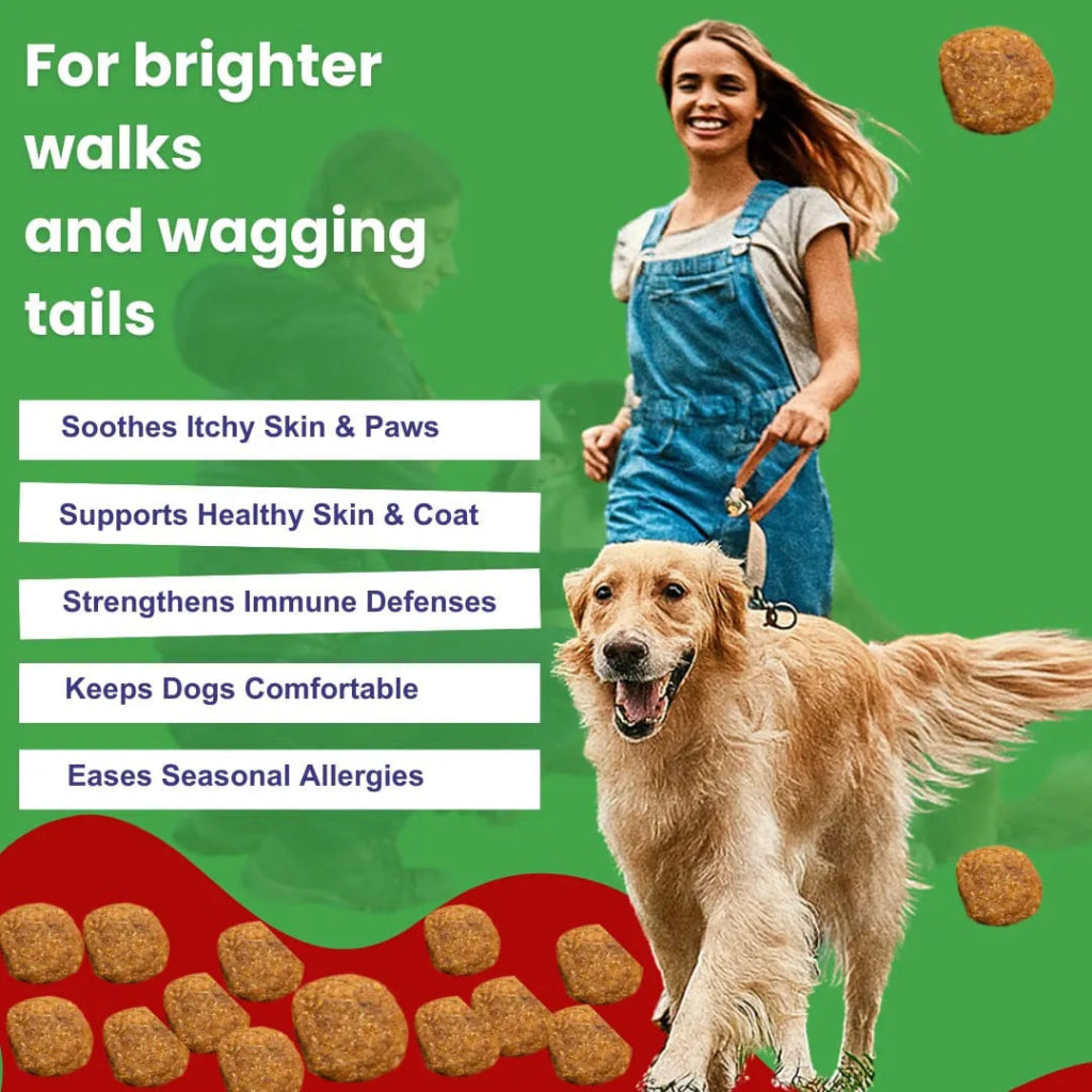 Woman walking a dog with product benefits listed on a green background