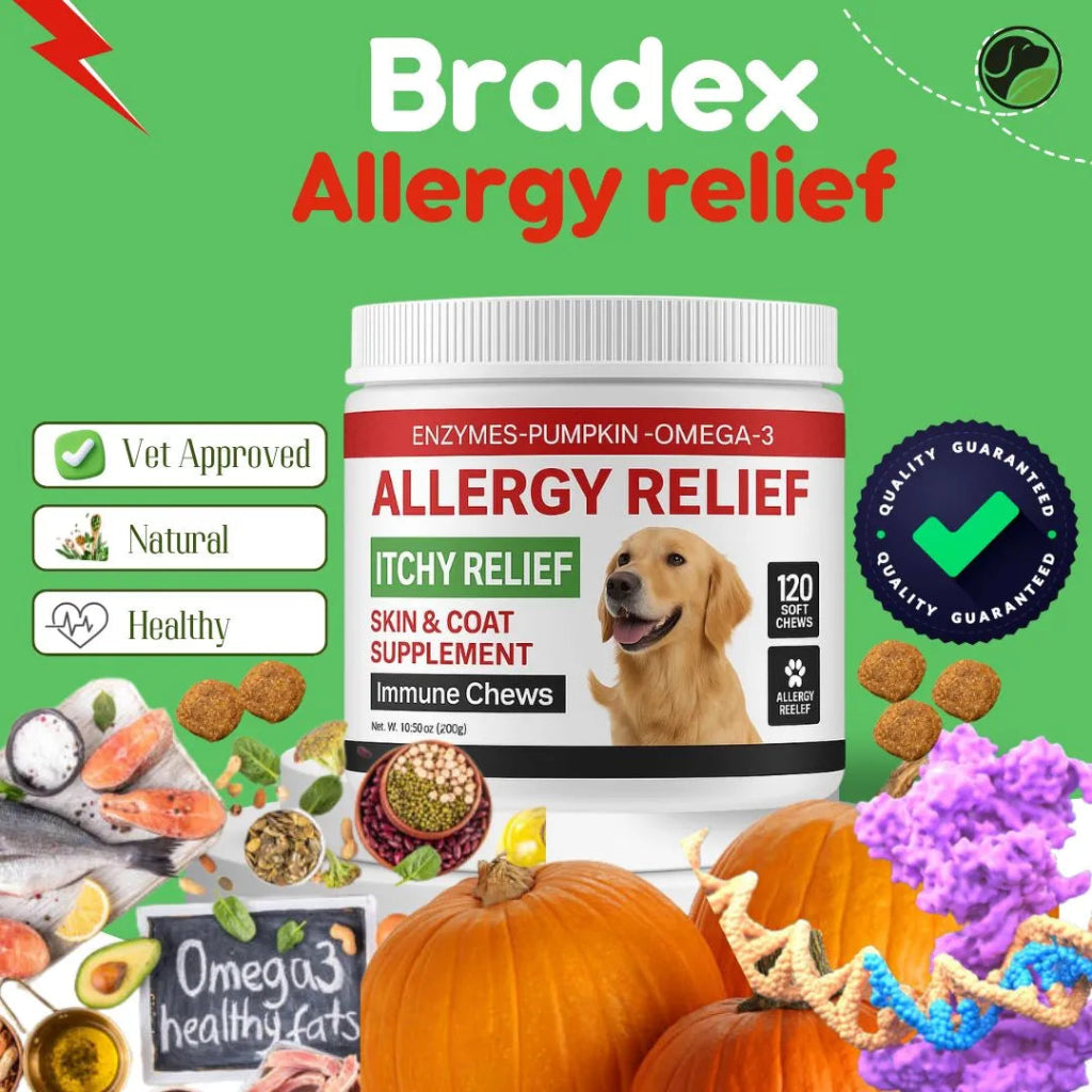 Dog allergy relief supplement with pumpkins and health-related graphics on a green background