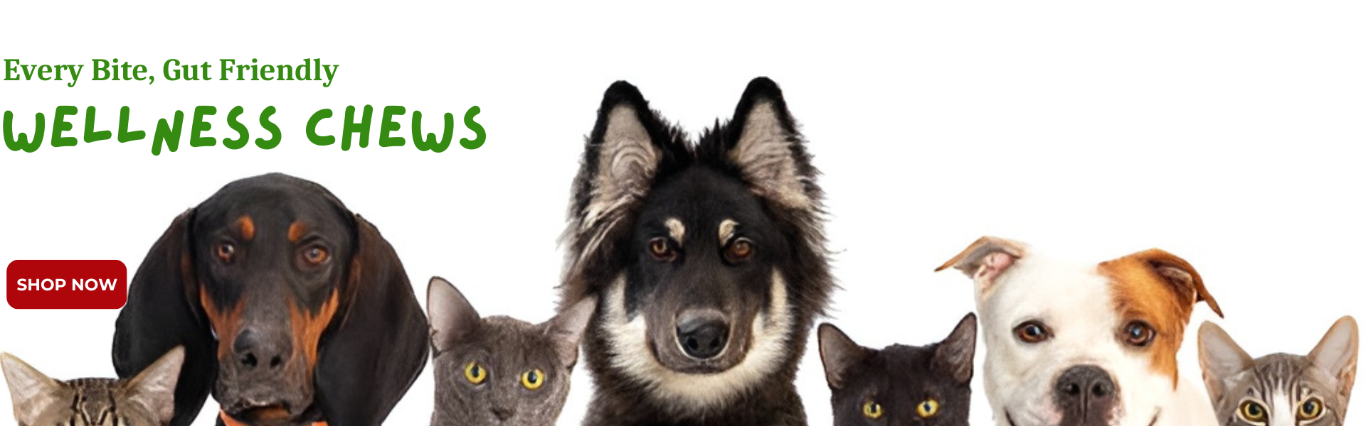 Promotional banner for Wellness Chews featuring dogs and cats on a white background.
