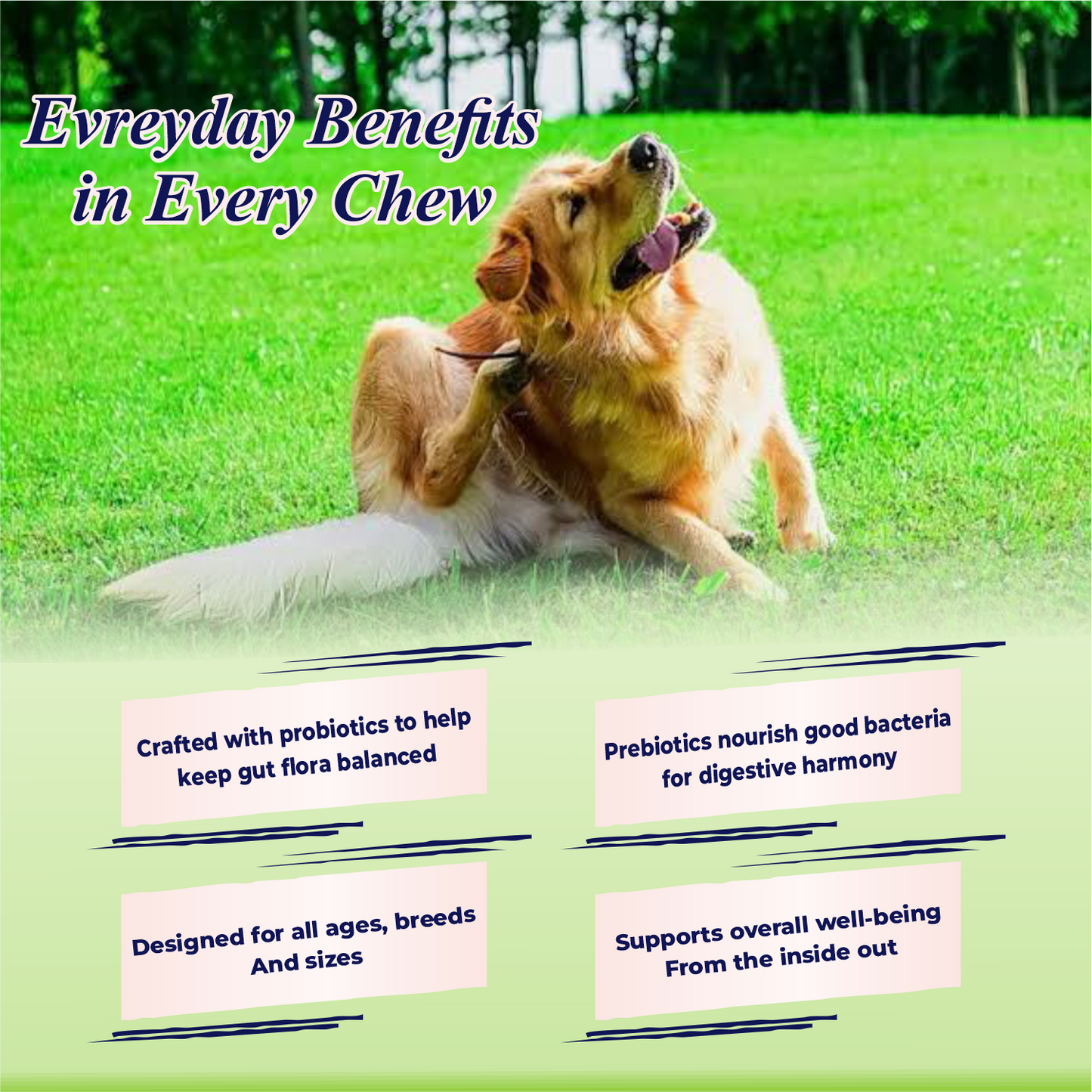 Dog lying on grass with text about everyday benefits in every chew