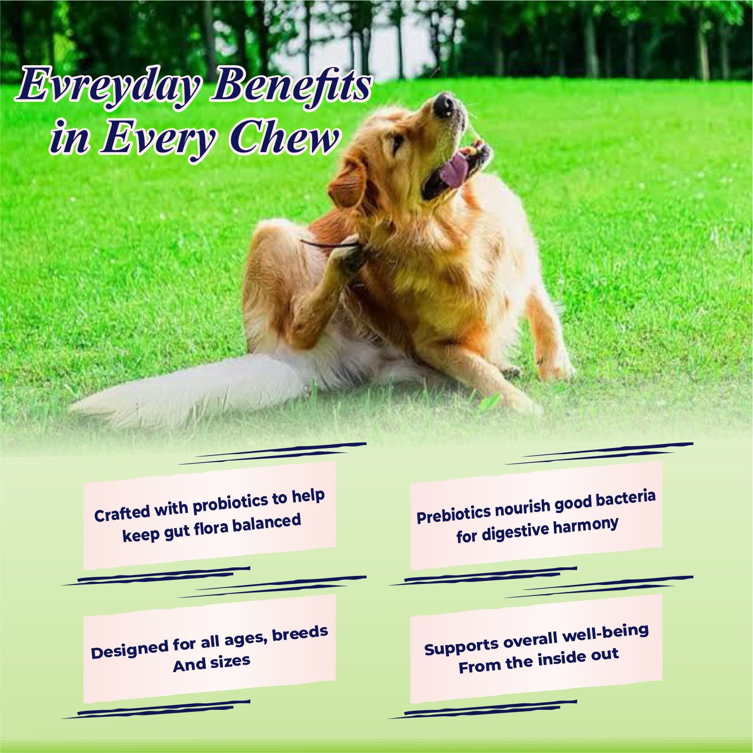 Dog lying on grass with text about everyday benefits in every chew