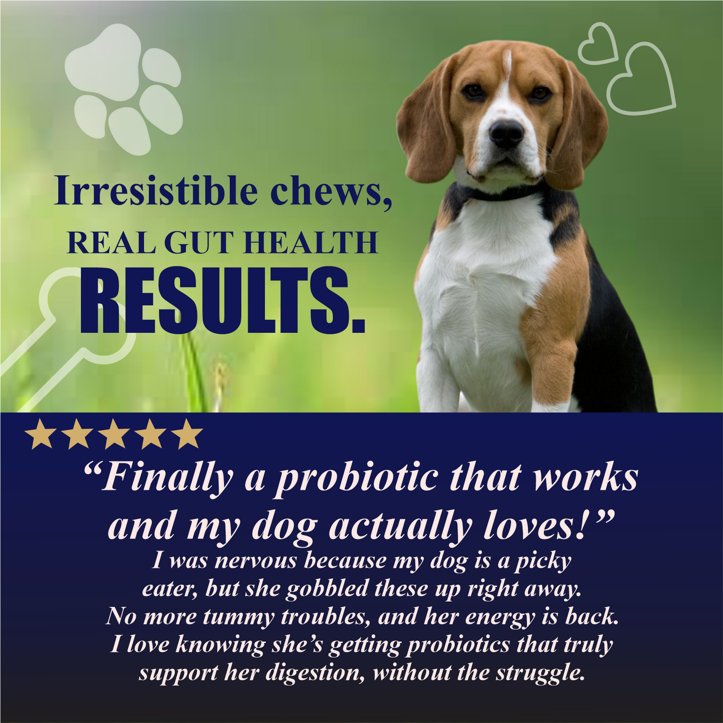 Dog with text about probiotic chews for gut health on a green background