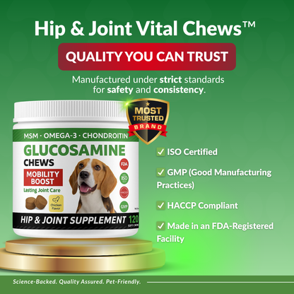 Hip and joint supplement for dogs with certification badges on a green background