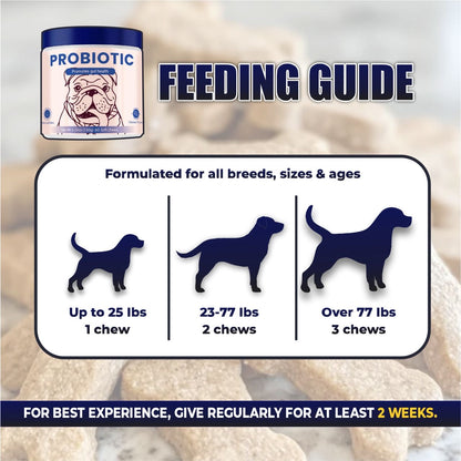 Feeding guide for dog probiotics with illustrations of dogs and text on a blurred background.