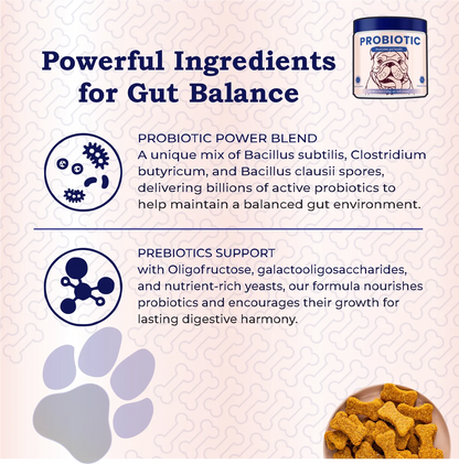 Dog food packaging with probiotic powder container and text about powerful ingredients for gut balance.