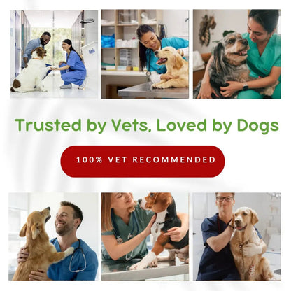Collage of people with dogs and text 'Trusted by Vets, Loved by Dogs' with a vet recommended badge.