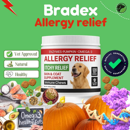 Dog allergy relief supplement with pumpkins and health-related graphics on a green background