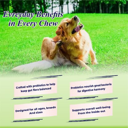 Dog lying on grass with text about everyday benefits in every chew